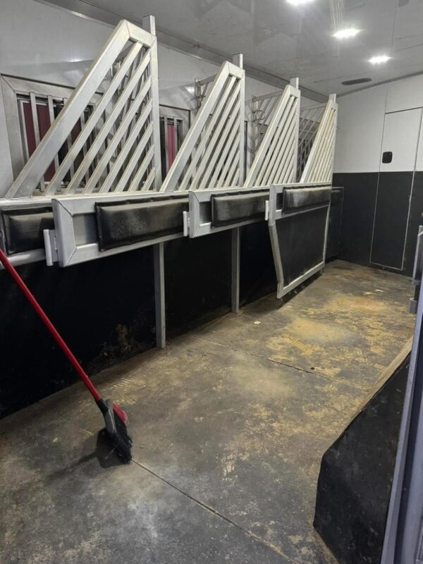 2020 bloomer horse trailers trail boss 5 horse
