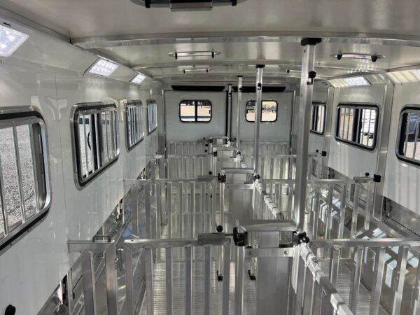 2025 cimarron horse trailers showstar