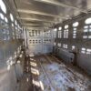 2021 wilson livestock trailers foreman 24ft