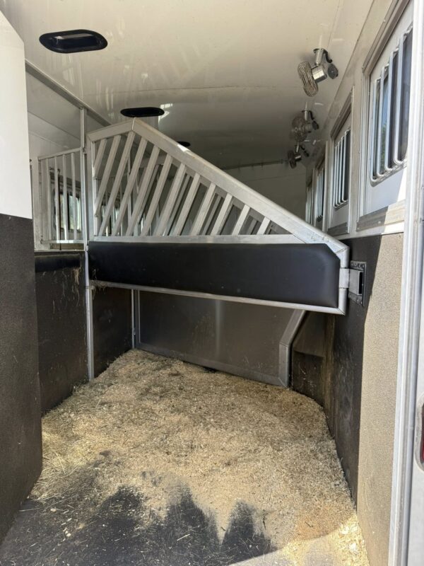 Bison Horse Trailers