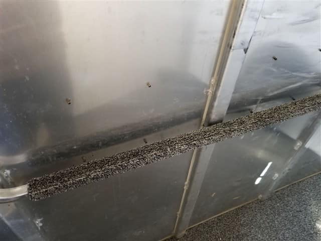 4 Star Horse Trailers for Sale